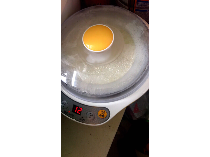 小熊（Bear） 酸奶机 家用全自动米酒机不锈钢内胆酸奶发酵菌 陶瓷4分杯 SNJ-B10K1