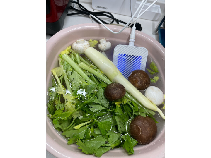 韩国大宇(DAEWOO)洗菜机家用果蔬清洗机卫士全自动食材净化机器蔬菜水果鱼肉虾去农药残解毒机壁挂式 白色
