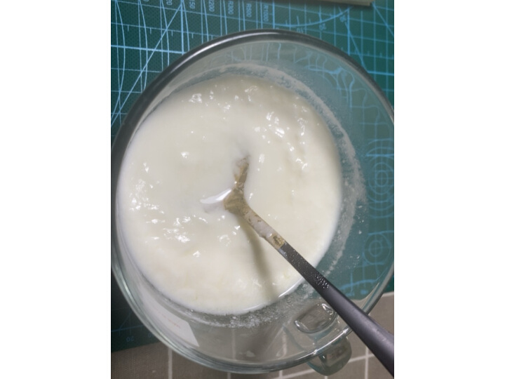 优益（Yoice）酸奶机 纳豆机 米酒机 家用全自动自制酸奶机 不锈钢内胆 1L SA11-性价比款