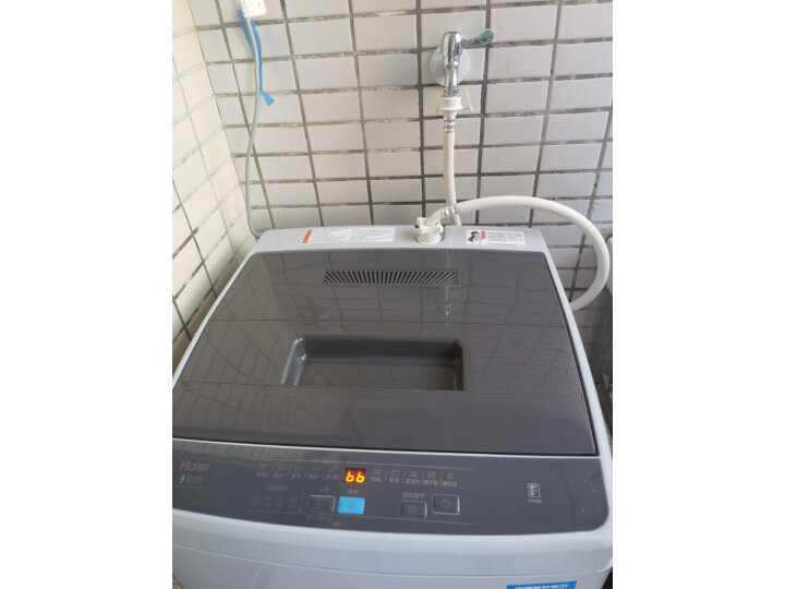 海尔（Haier) 波轮洗衣机全自动 8KG健康桶自洁 一键智能洗 租房神器 EB80M009